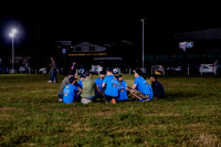 Cricket